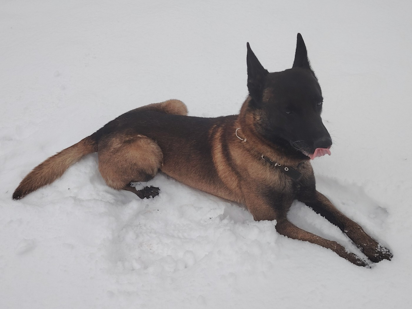 O'shot des Bidibooms De La Noue