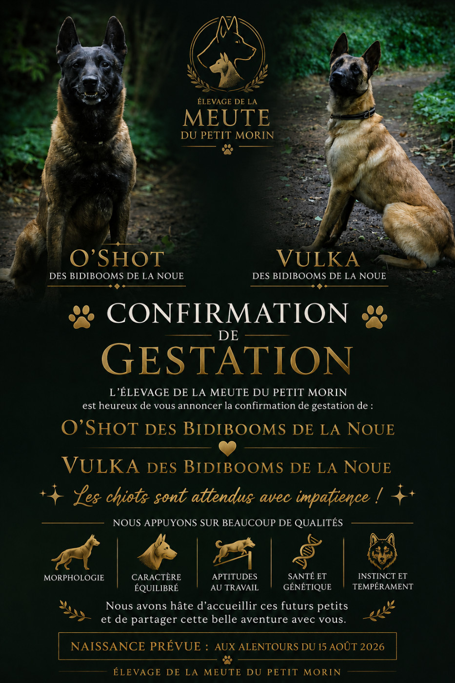 Confirmation de gestation