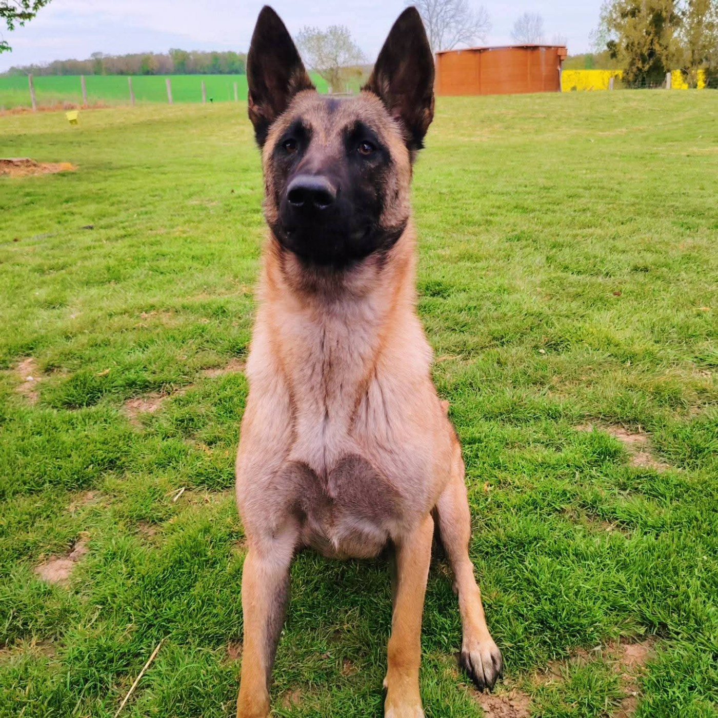 Vulka des bidibooms de la noue